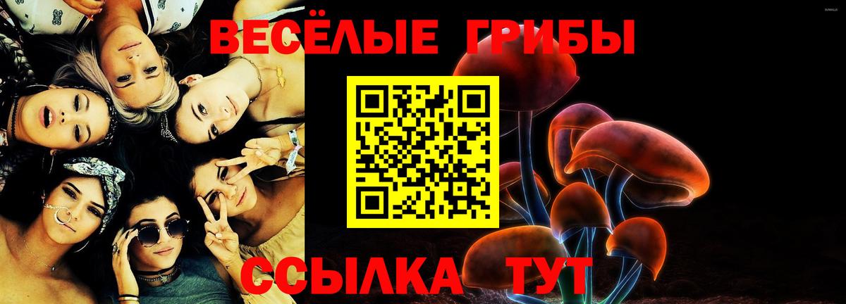 Псилоцибиновые грибы ЛСД Карачаевск
